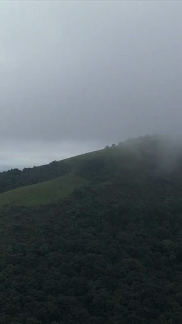 Vertical Aerial View of Hosahalli Gudda and Misty Western Ghats Sakleshpur Karnataka