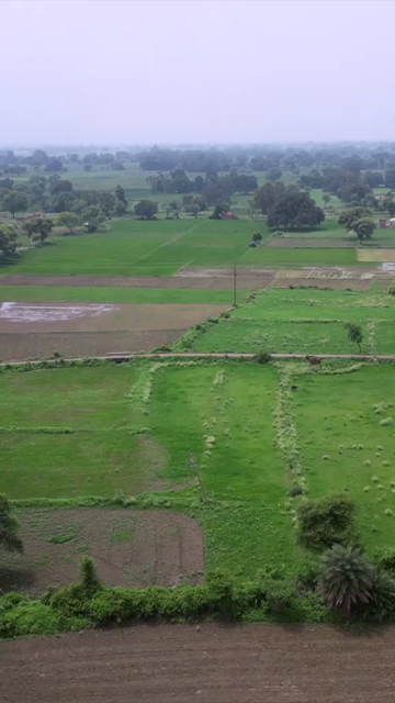 Vertical Aerial View of Indian Farmers Preparing Paddy Fields in Rural India