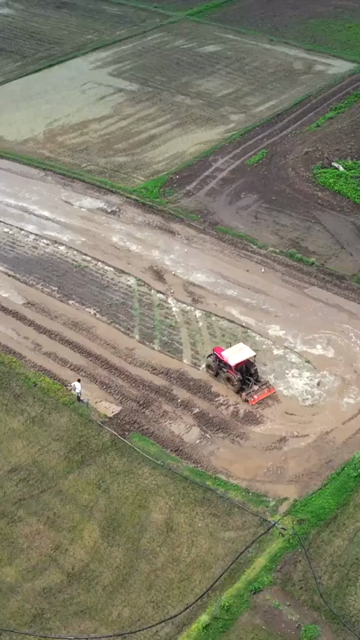 Vertical Aerial View of Indian Farmers Preparing Paddy Fields in Rural India