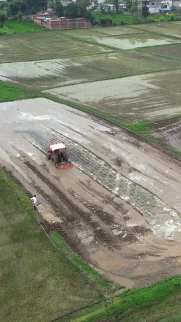 Vertical Aerial View of Indian Farmers Preparing Paddy Fields in Rural India