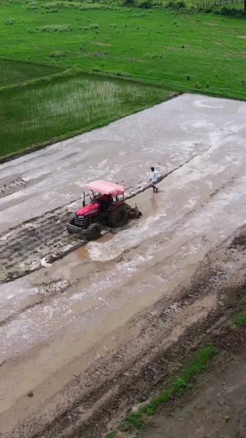 Vertical Aerial View of Indian Farmers Preparing Paddy Fields in Rural India