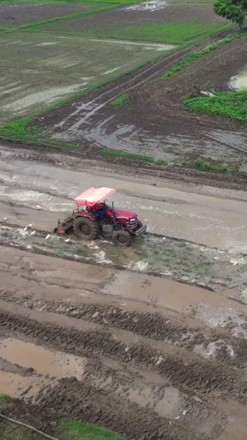 Vertical Aerial View of Indian Farmers Preparing Paddy Fields in Rural India