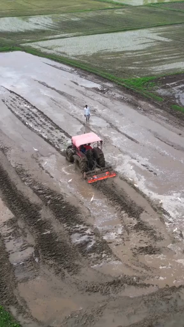 Vertical Aerial View of Indian Farmers Preparing Paddy Fields in Rural India