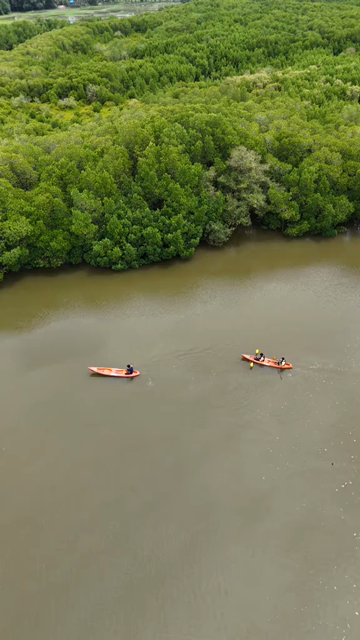 Vertical Aerial View of Kayakers in Udupi Backwaters Karnataka