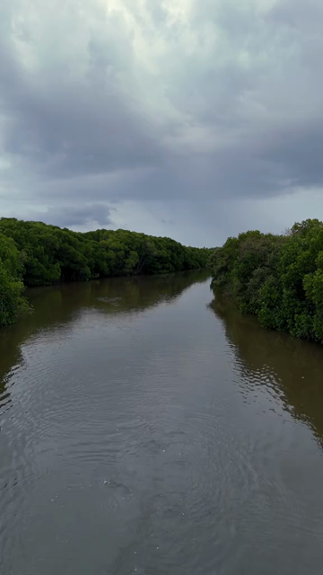 Vertical Aerial View of Kayakers in Udupi Backwaters Karnataka