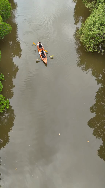 Vertical Aerial View of Kayakers in Udupi Backwaters Karnataka
