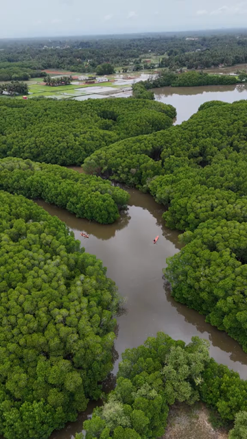 Vertical Aerial View of Kayakers in Udupi Backwaters Karnataka