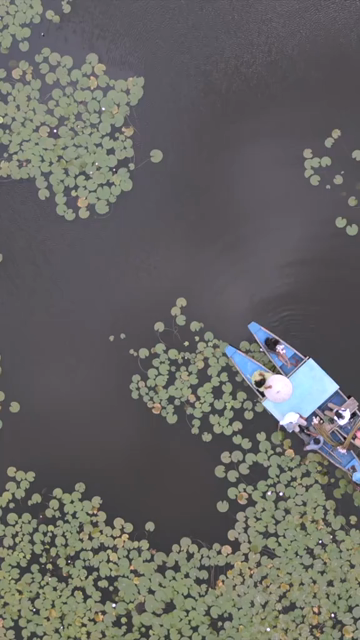 Vertical Aerial View of Kondakarla Ava Lake Visakhapatnam Andhra Pradesh