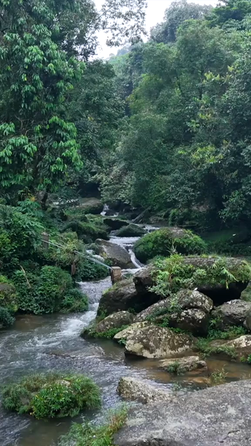 Vertical Aerial View of Krang Suri Falls and Lush Forest Landscape Meghalaya