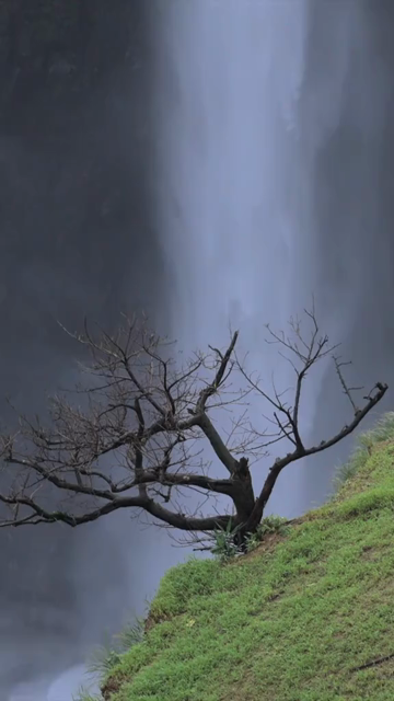 Vertical Aerial View of Kumbhe Waterfall and Misty Cliffs Maharashtra