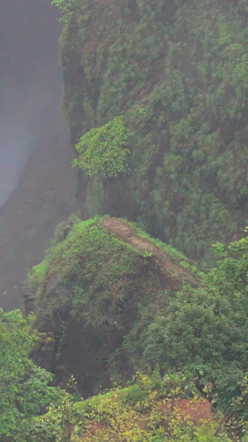 Vertical Aerial View of Kumbhe Waterfall and Misty Cliffs Maharashtra