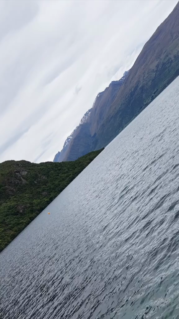 Vertical Aerial View of Lake Wakatipu and Mountain Landscape in New Zealand