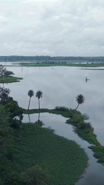Vertical Aerial View of Lake and Monsoon Clouds in Bhopal, Madhya Pradesh, India