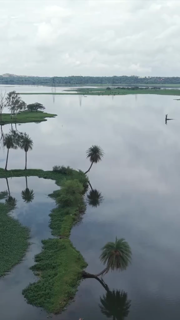 Vertical Aerial View of Lake and Monsoon Clouds in Bhopal, Madhya Pradesh, India