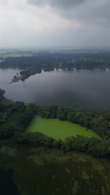 Vertical Aerial View of Lake and Rural Landscape in Madhya Pradesh India