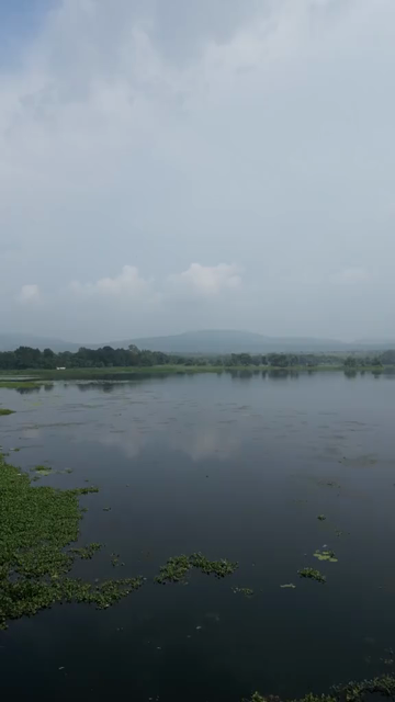 Vertical Aerial View of Lake and Rural Landscape in Madhya Pradesh India