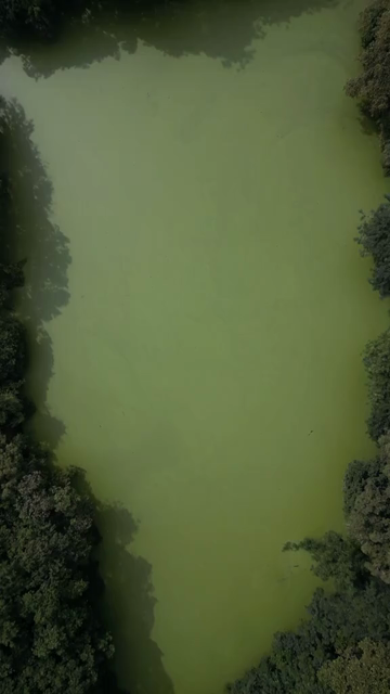 Vertical Aerial View of Lake and Rural Landscape in Madhya Pradesh India