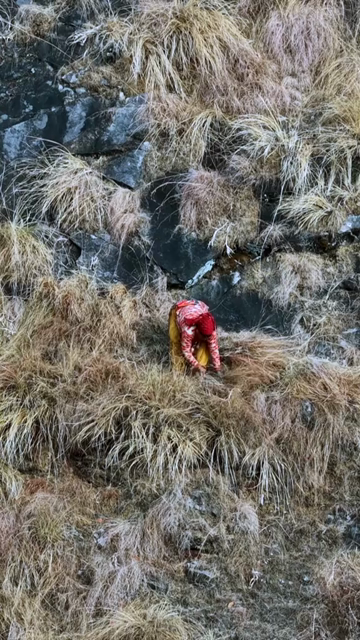 Vertical Aerial View of Local Woman Collecting Grass in Uttarakhand India