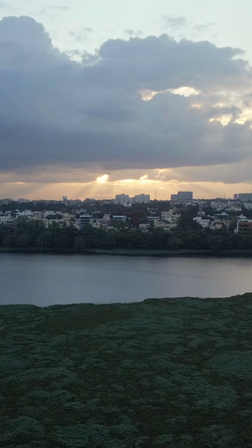 Vertical Aerial View of Madiwala Lake and Bangalore Cityscape India