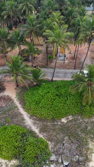Vertical Aerial View of Malpe Beach Breakwaters Udupi Karnataka India