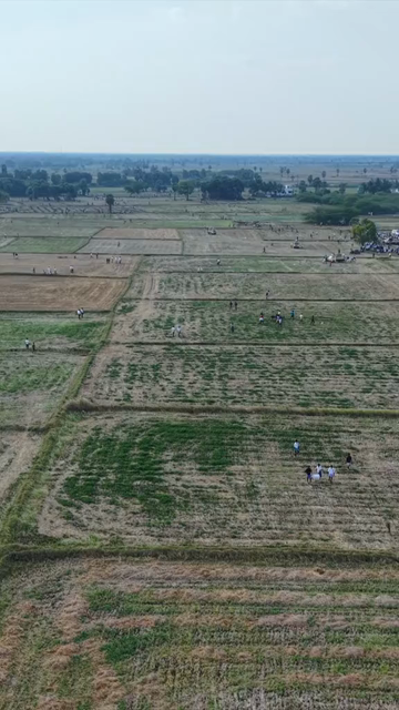 Vertical Aerial View of Puliyal Manjuvirattu Bull Taming Festival in Tamil Nadu India