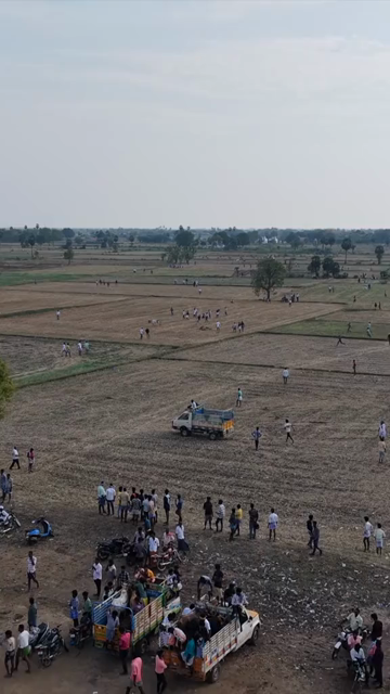 Vertical Aerial View of Puliyal Manjuvirattu Bull Taming Festival in Tamil Nadu India