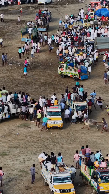 15th January 2026 : Vertical Aerial View of Puliyal Manjuvirattu Bull Taming Festival in Tamil Nadu India