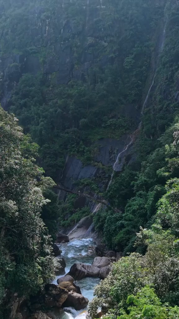 Vertical Aerial View of Mawryngkhang Bamboo Trek and Mountain Cliffs Meghalaya India