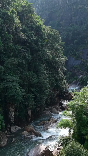Vertical Aerial View of Mawryngkhang Bamboo Trek and Mountain Cliffs Meghalaya India