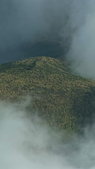 Vertical Aerial View of Mist Covered Hills at Kolukkumalai Munnar Kerala India