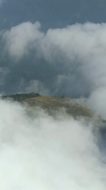 Vertical Aerial View of Mist Covered Hills at Kolukkumalai Munnar Kerala India