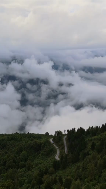 Vertical Aerial View of Misty Forest Landscape at Mandala Top Arunachal Pradesh India