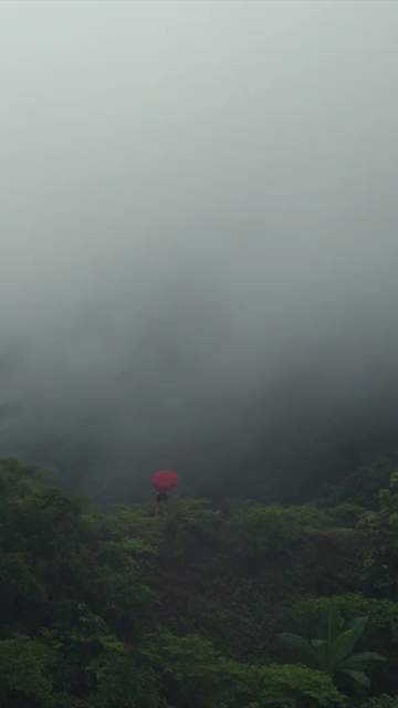 Vertical Aerial View of Misty Lush Green Hills and Forest Maharashtra India
