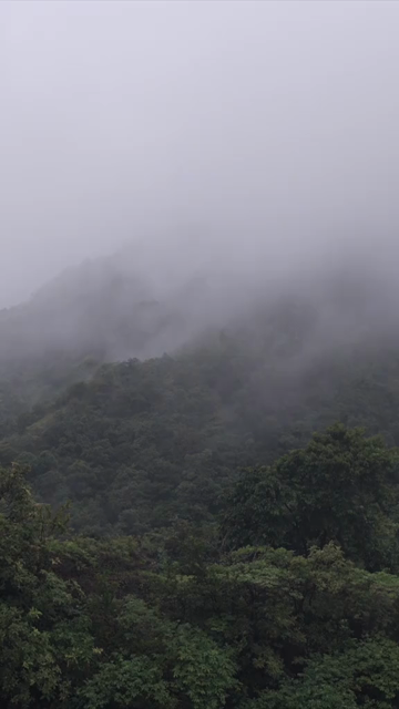 Vertical Aerial View of Misty Lush Green Hills and Forest Maharashtra India