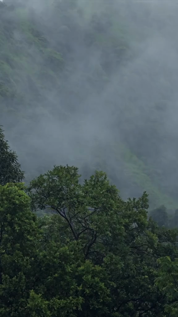 Vertical Aerial View of Misty Lush Green Hills and Forest Maharashtra India