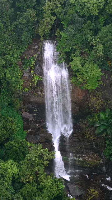 Vertical Aerial View of Misty Waterfall in Sharavathi Valley, Karnataka