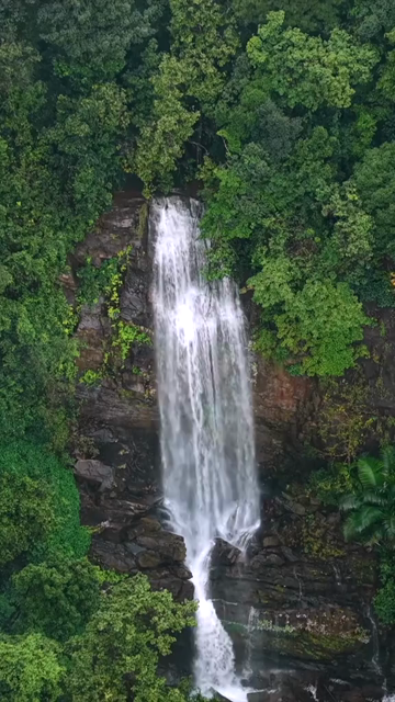 Vertical Aerial View of Misty Waterfall in Sharavathi Valley, Karnataka