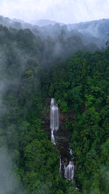 Vertical Aerial View of Misty Waterfall in Sharavathi Valley, Karnataka