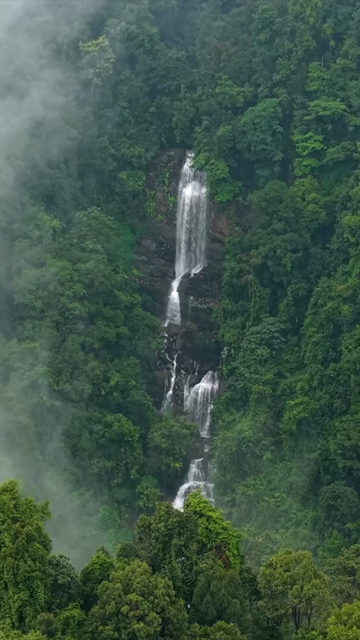 Vertical Aerial View of Misty Waterfall in Sharavathi Valley, Karnataka
