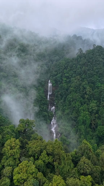 Vertical Aerial View of Misty Waterfall in Sharavathi Valley, Karnataka