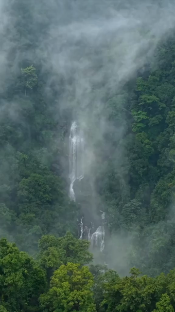 Vertical Aerial View of Misty Waterfall in Sharavathi Valley, Karnataka