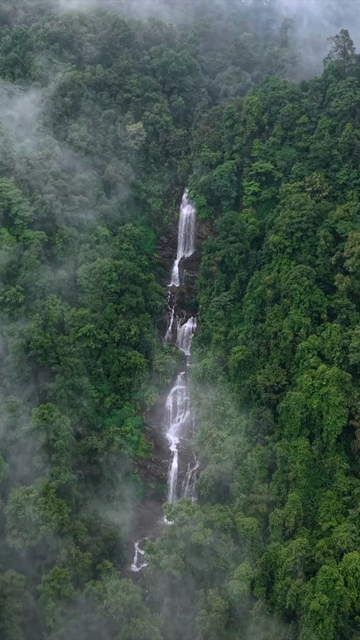 Vertical Aerial View of Misty Waterfall in Sharavathi Valley, Karnataka