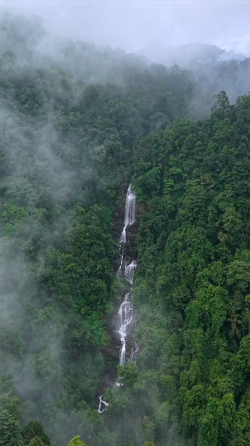 Vertical Aerial View of Misty Waterfall in Sharavathi Valley, Karnataka