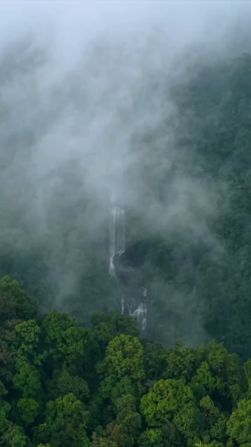 Vertical Aerial View of Misty Waterfall in Sharavathi Valley, Karnataka