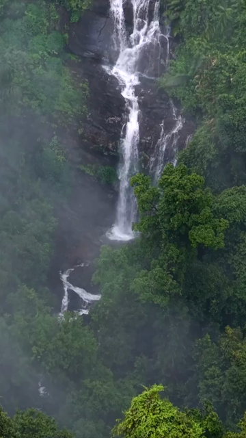 Vertical Aerial View of Misty Waterfall in Sharavathi Valley, Karnataka