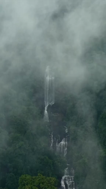 Vertical Aerial View of Misty Waterfall in Sharavathi Valley, Karnataka