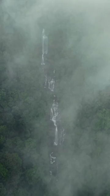 Vertical Aerial View of Misty Waterfall in Sharavathi Valley, Karnataka