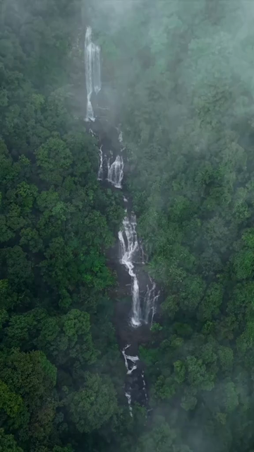 Vertical Aerial View of Misty Waterfall in Sharavathi Valley, Karnataka