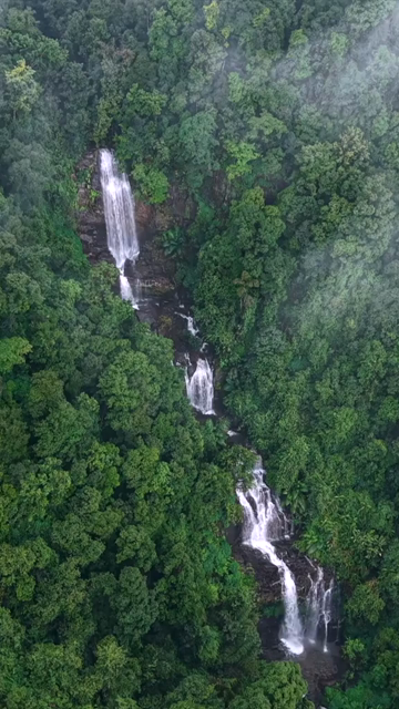Vertical Aerial View of Misty Waterfall in Sharavathi Valley, Karnataka