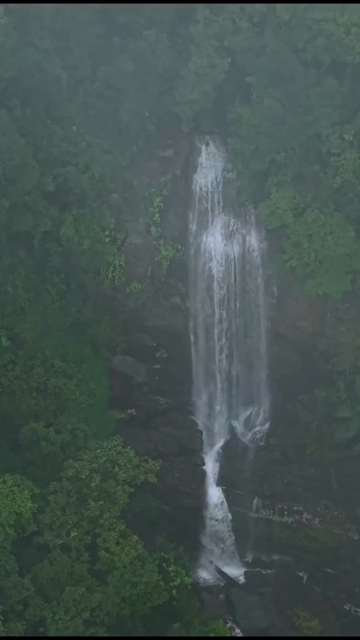 Vertical Aerial View of Misty Waterfall in Sharavathi Valley, Karnataka